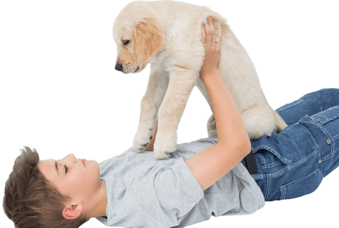 transparent: boy playing joyfully with adorable puppy - Download Free Stock Videos Pikwizard.com