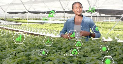 Technician Analyzing Seedlings with Eco Icons in Modern Greenhouse