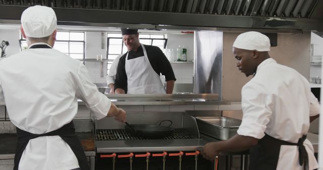 Professional Chefs Working in Busy Restaurant Kitchen - Download Free Stock Images Pikwizard.com