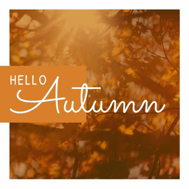 Digital composite image of hello autumn text against maple tree during sunny day, copy space. Leaf, greeting, autumn season and nature concept.