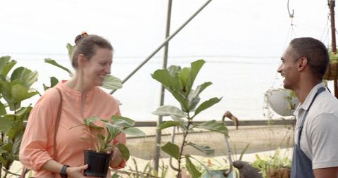 Customer Inspecting Plant with Nursery Worker in Greenhouse