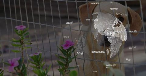 Curious dog behind fence with digital globe and data overlay