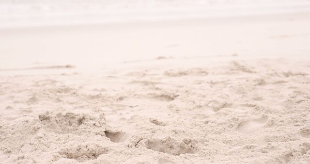 Tranquil Sandy Beach with Soft Footprints - Download Free Stock Images Pikwizard.com