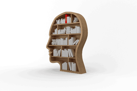 transparent human head shaped bookshelf with modern design - Download Free Stock Videos Pikwizard.com