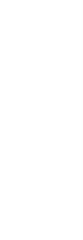 Transparent Silhoutte of Celebrating Woman with Raised Hands