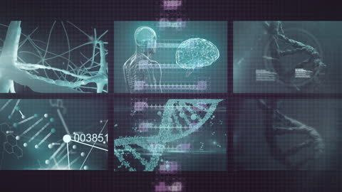Animated Scientific Data Processing with Digital Displays