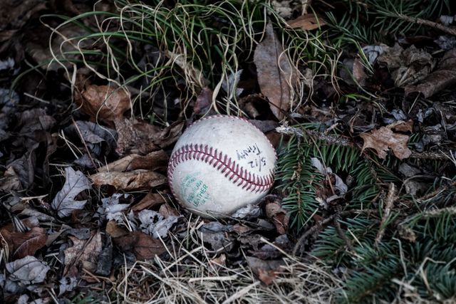 A weathered baseball lies abandoned amongst fallen autumn leaves and tufts of grass. Excellent for themes related to old sports equipment, forgotten items, and the changing seasons in nature. Suitable for blogs, articles, or marketing materials focusing on sports nostalgia, outdoor activities, or nature's reclaiming of objects.