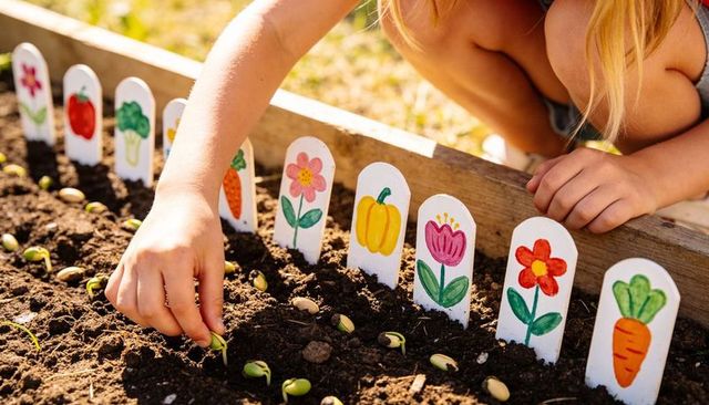 Child planting seedlings in raised bed with painted garden markers in sunny backyard