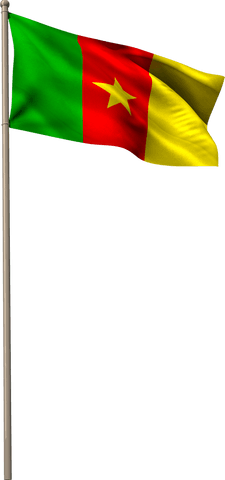 Cameroon National Flag Waving on Transparent Background - Download Free Stock Videos Pikwizard.com