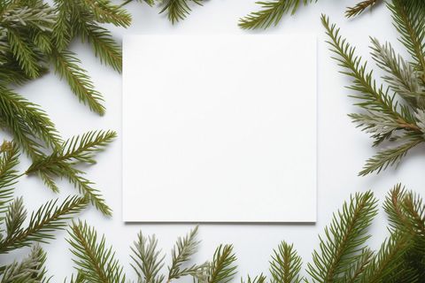 Blank square paper surrounded by pine sprigs