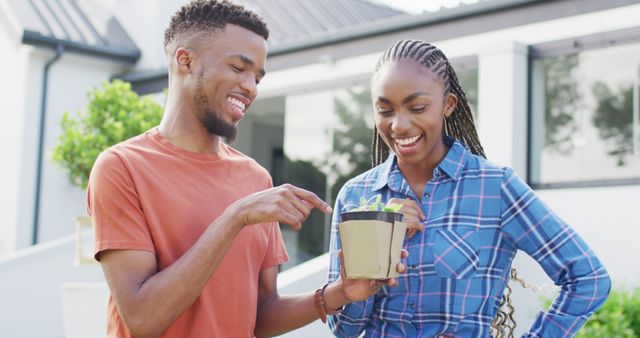 Happy african american couple with plant sprout in backyard. Lifestyle, relationship, spending free time together concept.