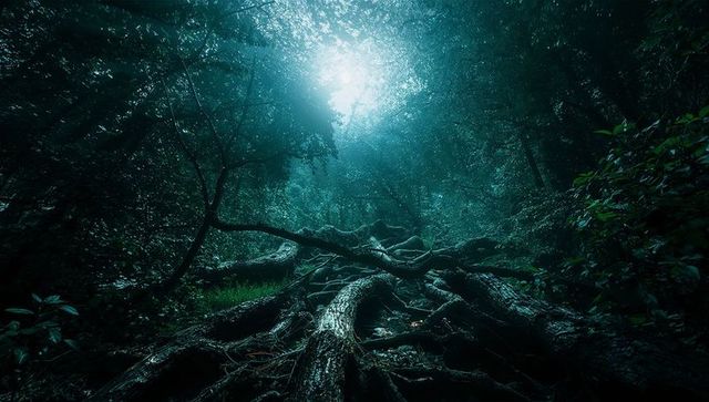 Moss-covered fallen tree with spreading roots in enchanted forest
