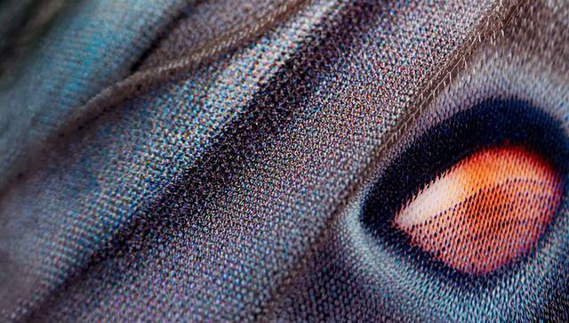 Revealing macro textile weave with halftone cmyk dots and vibrant orange motif