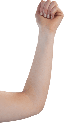 Transparent Image of Empowered Female Hand Fist Raised - Download Free Stock Videos Pikwizard.com