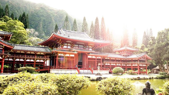 Traditional Japanese temple surrounded by lush green trees with sunlight creating a peaceful and serene atmosphere. Ideal for cultural and travel-related content, promotions for eco-friendly tourism, or educational materials about Japanese history and architecture.