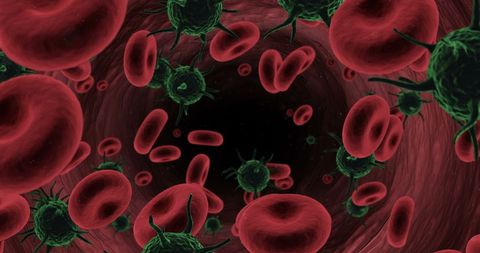 Virus entering bloodstream with red blood cells in artery