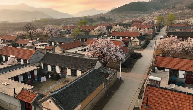 Sunset village glowing with red roofs and blooming orchards in mountain valley