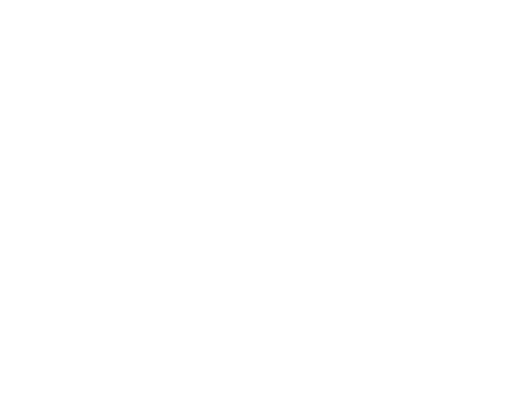 Elegant Black And White Transparent Holiday Greeting Design