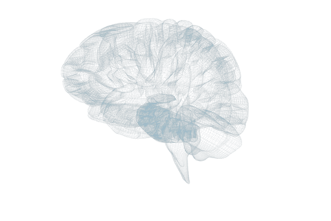 transparent x-ray 3d digital model of human brain visualization - Download Free Stock Videos Pikwizard.com