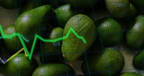 Displaying avocado market analytics with line charts overlaying fresh avocado cluster