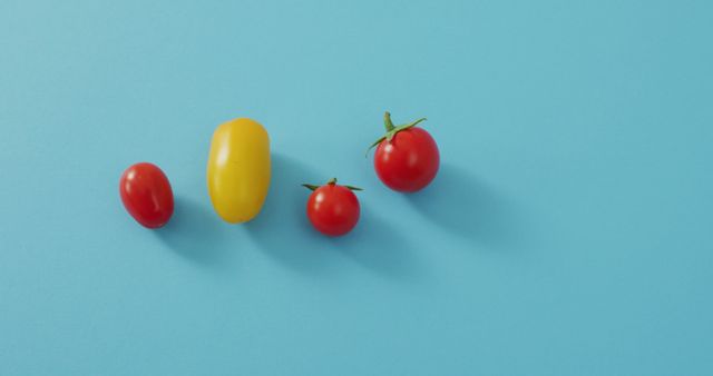 Fresh cherry tomatoes in different colors on a solid blue background. Perfect for use in food blogs, healthy eating articles, cooking websites, restaurant menu designs, and nutritional guides showcasing fresh vegetables.