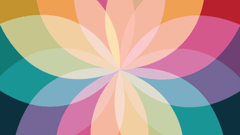 Colorful Abstract Flower Shape on Transparent Background - Download Free Stock Videos Pikwizard.com