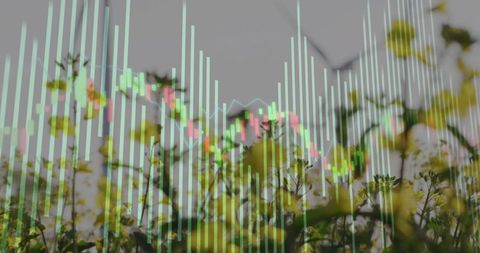 Wildflower meadow with candlestick chart overlay conveying sustainable green finance