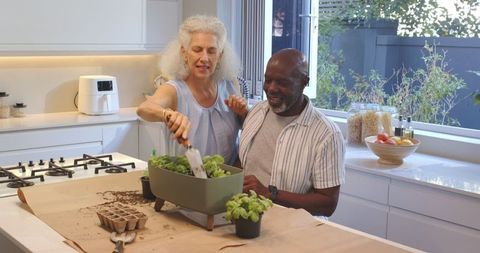 Senior couple enjoying indoor herb gardening in modern kitchen