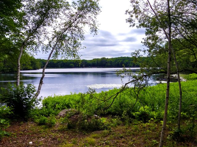 Serene lake surrounded by lush greenery and trees, with calm reflective water under a partly cloudy sky. Ideal for use in nature-related publications, travel guides, and promoting outdoor activities and retreats.
