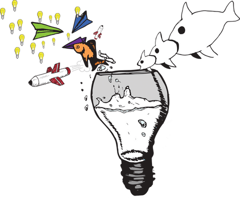 creative lightbulb with falling fish on transparent background - Download Free Stock Videos Pikwizard.com