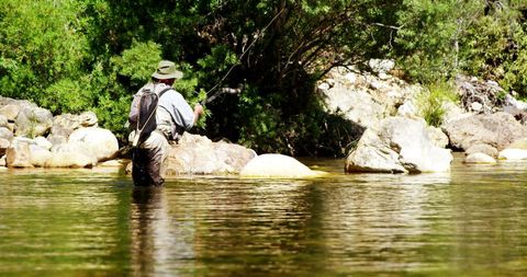 Man Fly Fishing in Sunny River