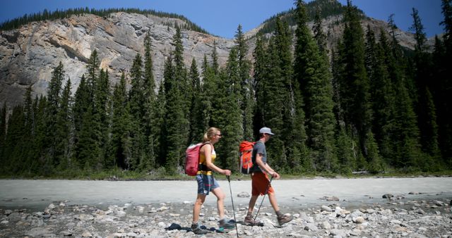 Couple Hiking in Mountainous Forest Landscape - Download Free Stock Images Pikwizard.com