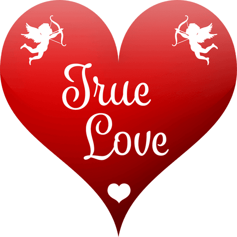 Red Heart with True Love Text on Transparent Background