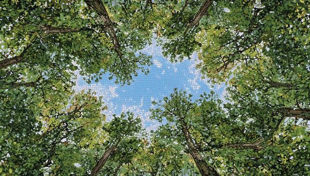 Looking up through sunlit forest canopy with mosaic light and tall tree trunks