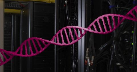 Digital DNA Strand in Server Environment Representing Data and Biotechnology - Download Free Stock Images Pikwizard.com