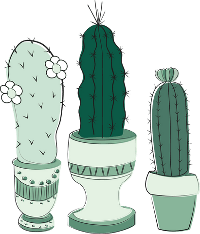 Three Cacti in Pots Illustrating Interior Decor on Transparent Background