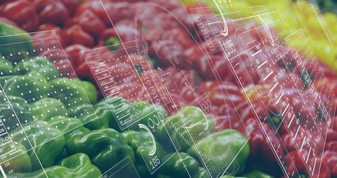 Augmented reality produce dashboard overlaying colorful bell pepper display