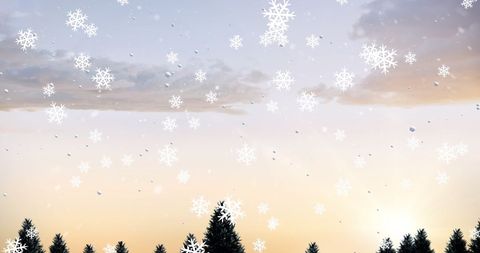 Falling Snowflakes Over Pine Forest Landscape at Sunset