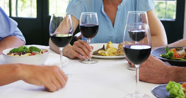 Group Enjoying Fine Dining with Red Wine Around a Table - Download Free Stock Images Pikwizard.com