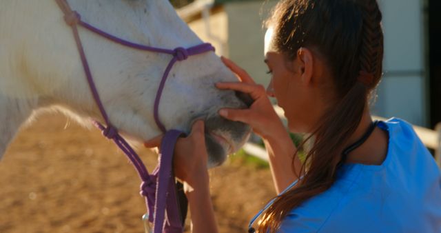 Young woman touches and bonds with horse in paddock showing connection and care. Ideal for themes about animal care, human-animal bond and outdoor activities.