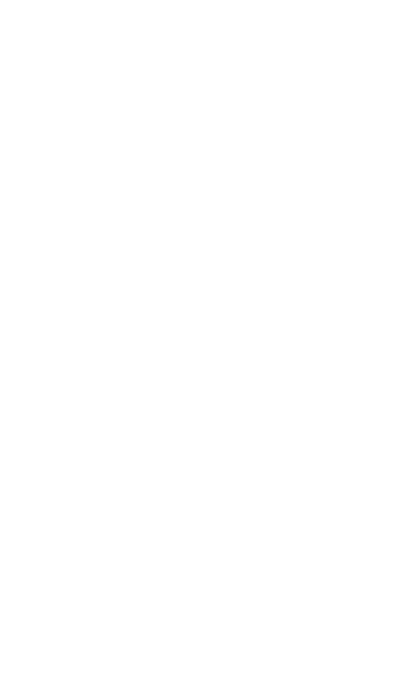 Silhouette of Male Badminton Player on Transparent Background with Racket - Download Free Stock Videos Pikwizard.com