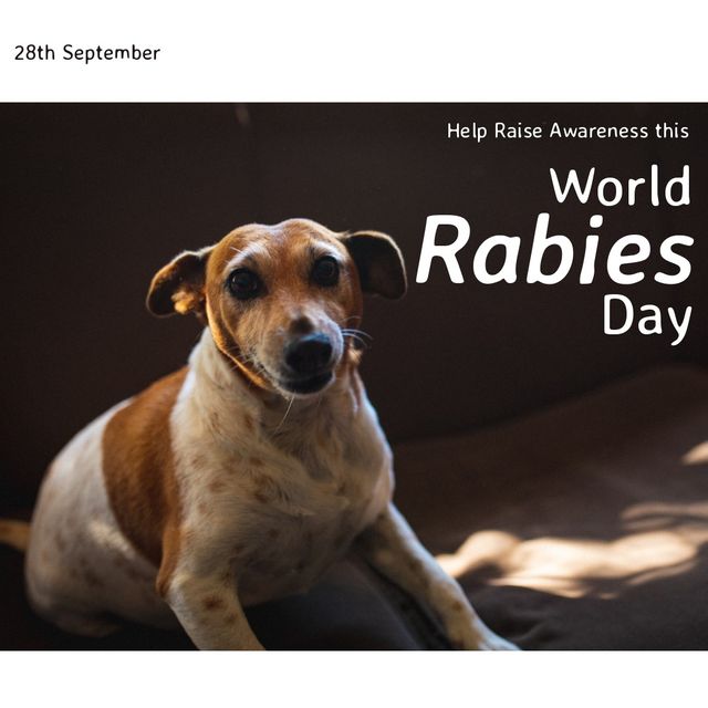 Use this image for promoting World Rabies Day, raising awareness about rabies prevention and the importance of vaccination. Suitable for social media campaigns, veterinary clinic websites, pet health blogs, and educational materials. Highlights the significance of protecting pets and communities.