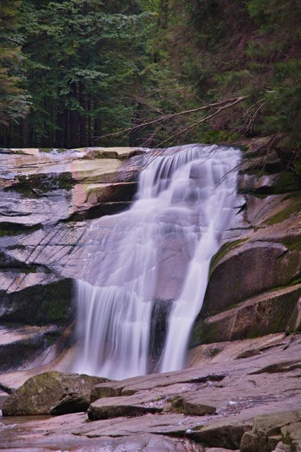 Scenic waterfall in forest with lush greenery - Download Free Stock Images Pikwizard.com