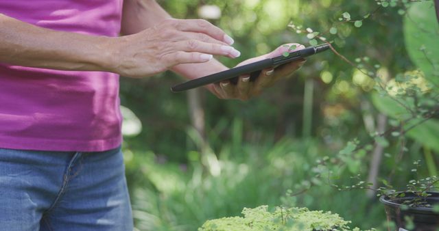 Person is using digital tablet while inspecting plants in a garden. Ideal for concepts of modern gardening, technology in horticulture, data logging, environmental monitoring, and smart agriculture. Suitable for articles about the integration of technology in gardening, digital tools for plant care, and sustainable gardening practices.