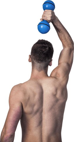 Transparent Muscular Man Raising Dumbbell for Fitness