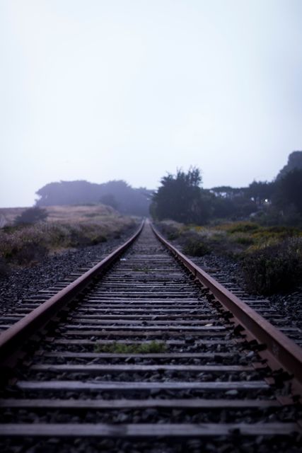 This image features old, abandoned railway tracks stretching into the horizon, surrounded by a foggy, peaceful countryside landscape with trees in the background. Ideal for illustrating themes of travel, nostalgia, solitude, and the beauty of rural areas. Perfect for websites focusing on transportation, nature photography, rustic settings, or historical journeys.