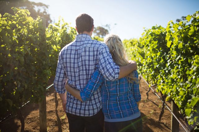 Couple embracing while standing in a vineyard on a sunny day. Ideal for use in advertisements, travel brochures, romantic getaway promotions, and lifestyle blogs. Highlights themes of love, nature, and tranquility.