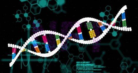 Futuristic dna double helix waving and rotating with color-changing base pairs and holographic data