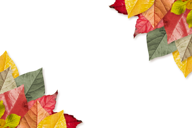 Transparent Autumn Leaves Isolated Column on Clear Background - Download Free Stock Videos Pikwizard.com