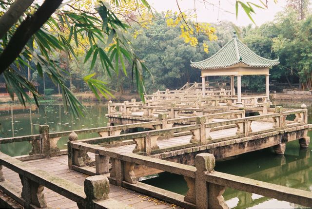 Serene pavilion with a green tile roof standing over a still, algae-dappled pond surrounded by lush trees. Weathered wooden walkways create a network across the pond, inviting quiet contemplation and leisurely strolls. This image can be used for travel brochures, gardening magazines, or any content related to tranquil outdoor scenes and Asian architecture.